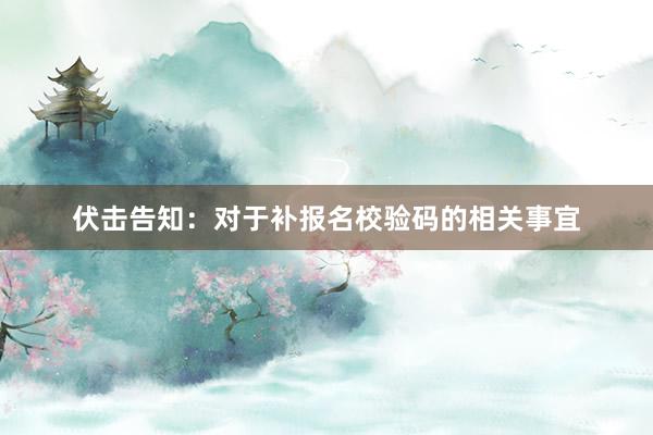 伏击告知：对于补报名校验码的相关事宜