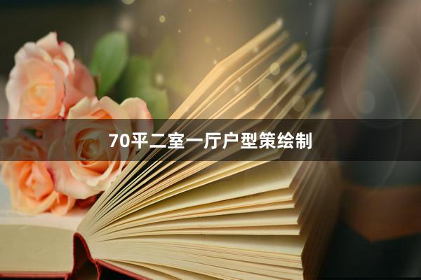 70平二室一厅户型策绘制